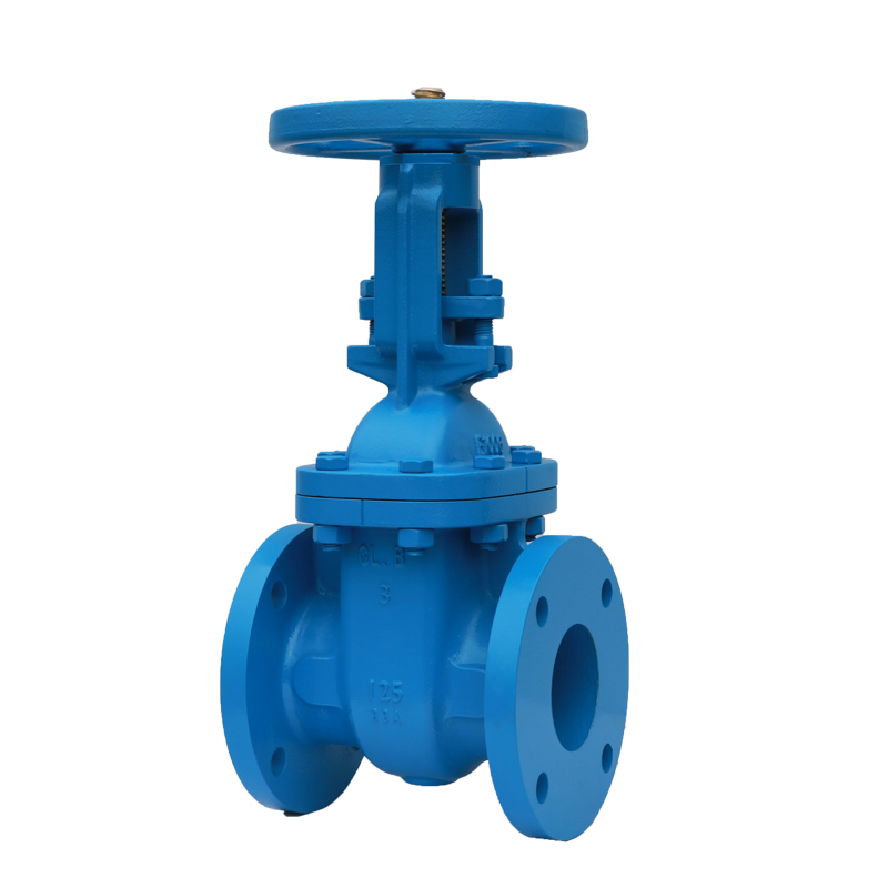 ANSI Cast Iron Rising Stem Gate Valve