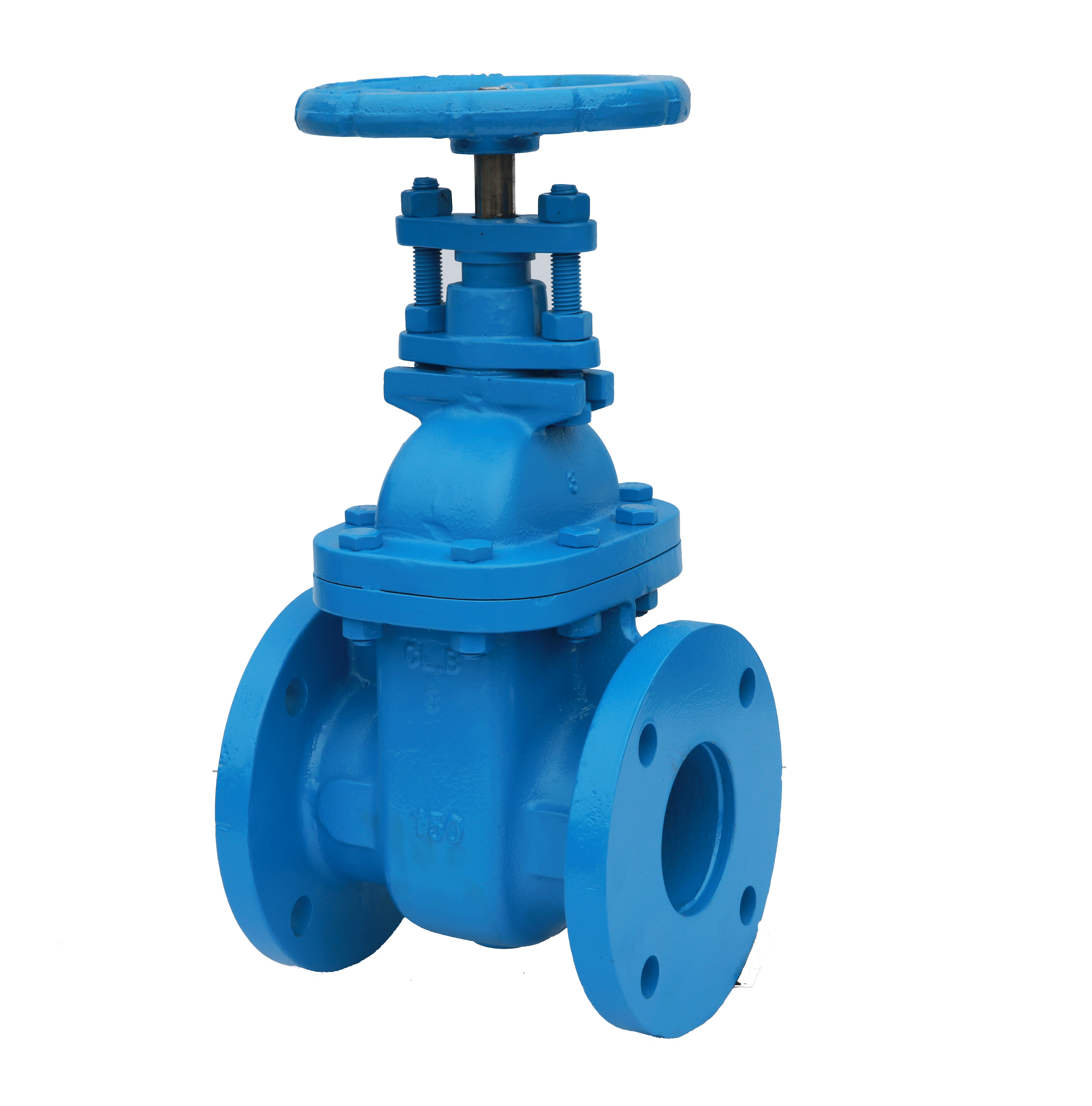 ANSI Cast Iron Non-Rising Stem Gate Valve