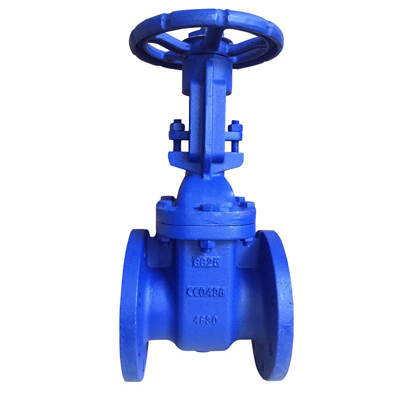 BS5163 Cast Iron Rising Stem Gate Valve