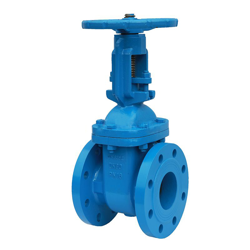 DIN Cast Iron Rising-Stem Gate Valve