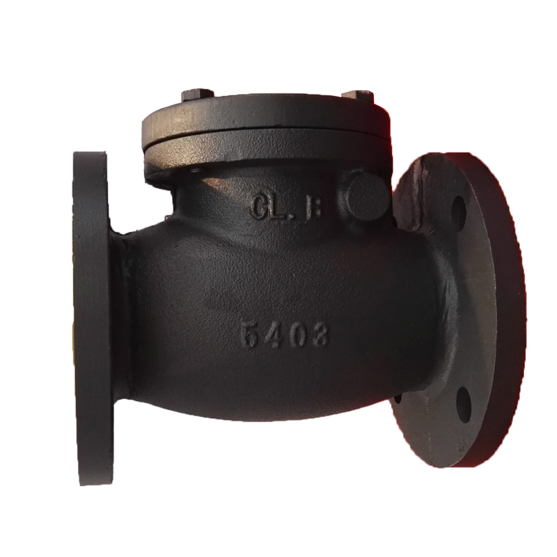 ANSI Cast Iron Swing Check Valve