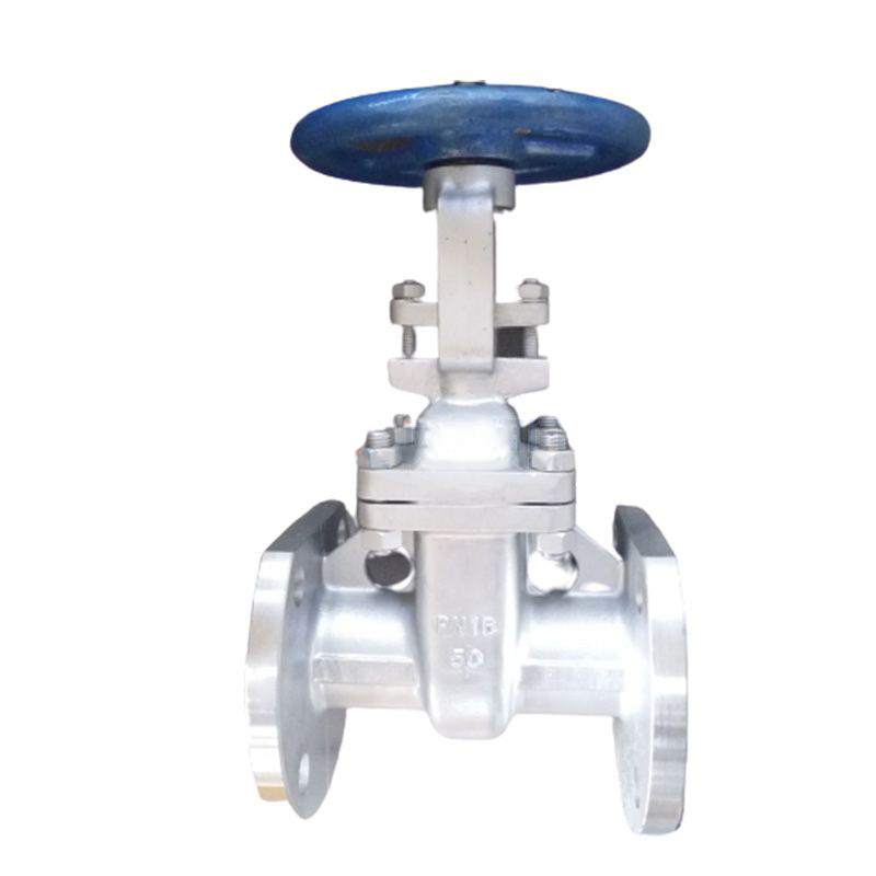 Stainless Steel Gost Standard Gate Valve